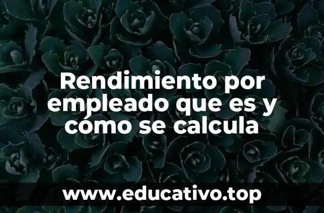 Rendimiento por empleado que es y cómo se calcula