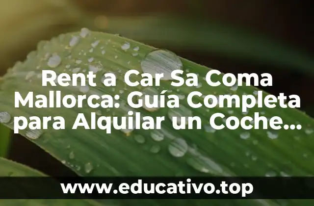 Rent a Car Sa Coma Mallorca: Guía Completa para Alquilar un Coche en Sa Coma
