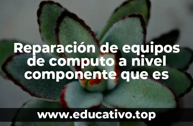 Reparación de equipos de computo a nivel componente que es
