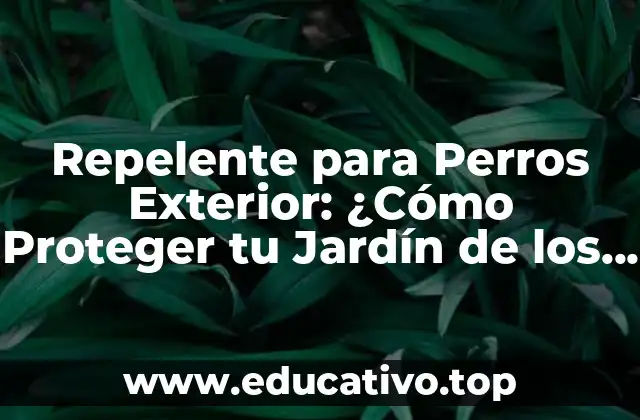 Repelente para Perros Exterior: ¿Cómo Proteger tu Jardín de los Perros Indeseados?