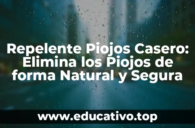 Repelente Piojos Casero: Elimina los Piojos de forma Natural y Segura