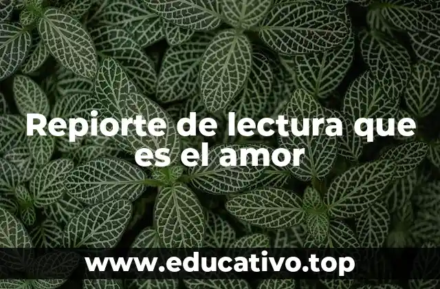 Repiorte de lectura que es el amor