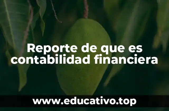 Reporte de que es contabilidad financiera