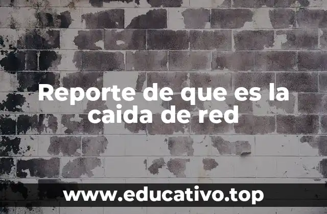 Reporte de que es la caida de red