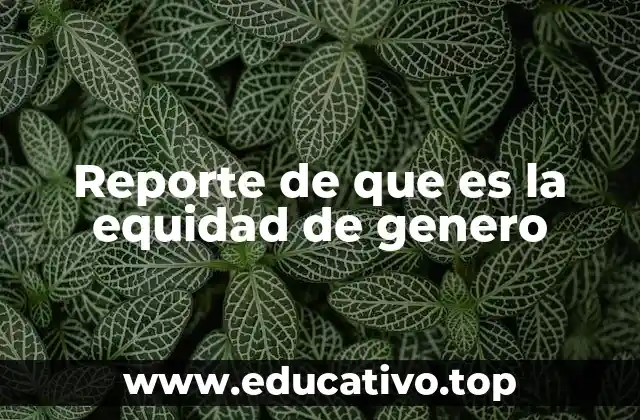 Reporte de que es la equidad de genero