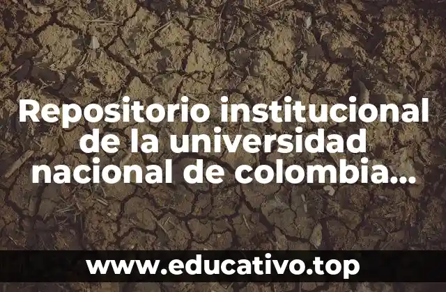 Repositorio institucional de la universidad nacional de colombia que es