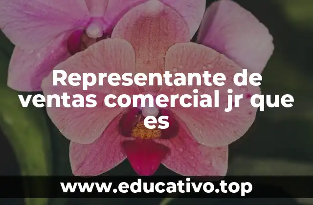Representante de ventas comercial jr que es