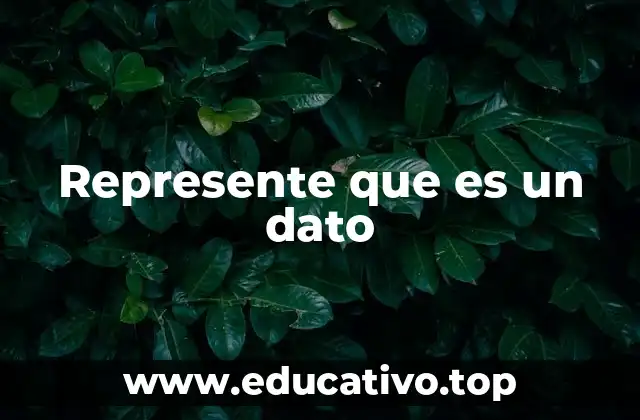 Represente que es un dato