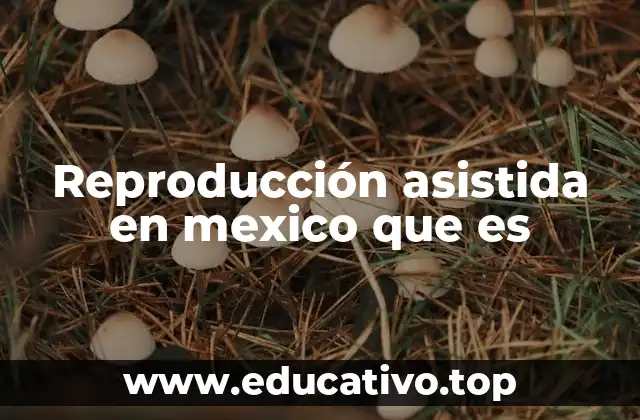 Reproducción asistida en mexico que es