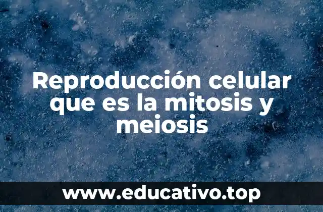 Reproducción celular que es la mitosis y meiosis
