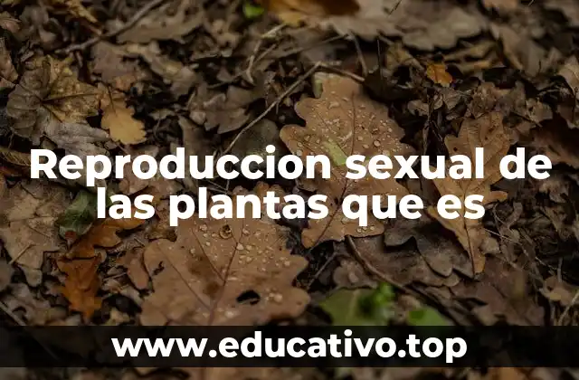 Reproduccion sexual de las plantas que es