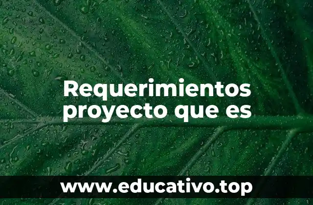 Requerimientos proyecto que es