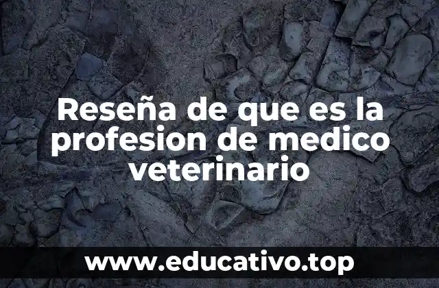 Reseña de que es la profesion de medico veterinario