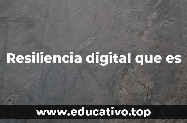 Resiliencia digital que es