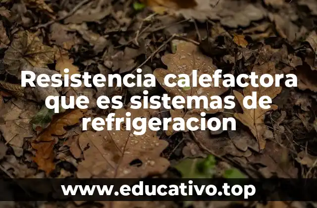 Resistencia calefactora que es sistemas de refrigeracion