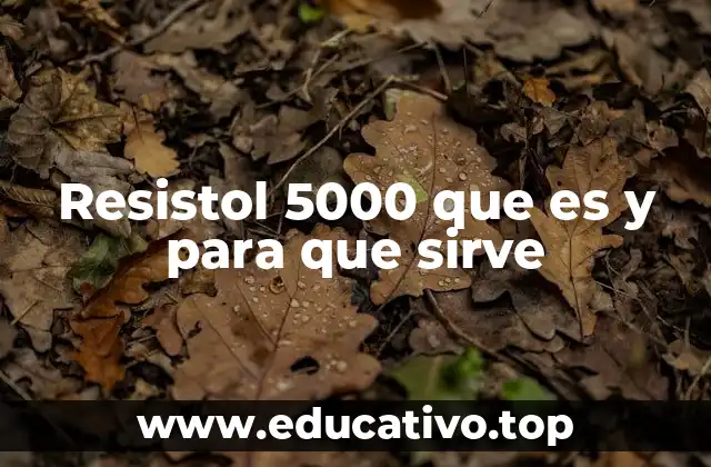 Resistol 5000 que es y para que sirve