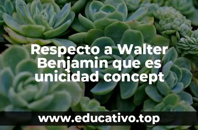 Respecto a Walter Benjamin que es unicidad concept