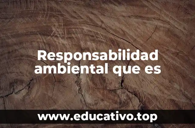Responsabilidad ambiental que es