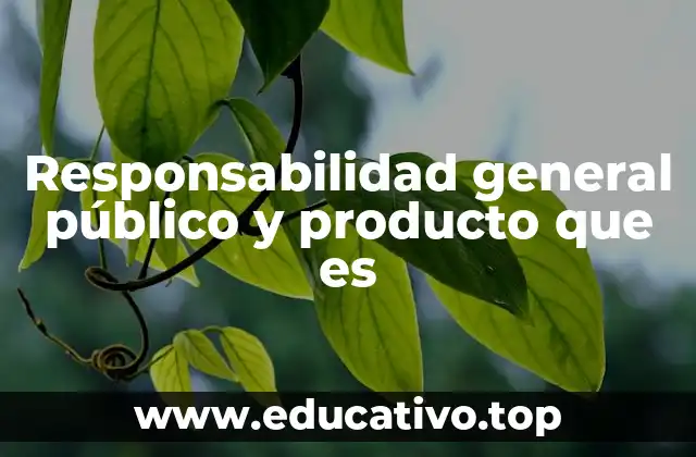 Responsabilidad general público y producto que es