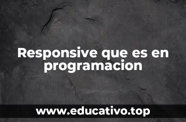 Responsive que es en programacion