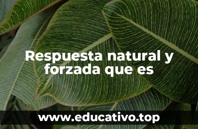 Respuesta natural y forzada que es
