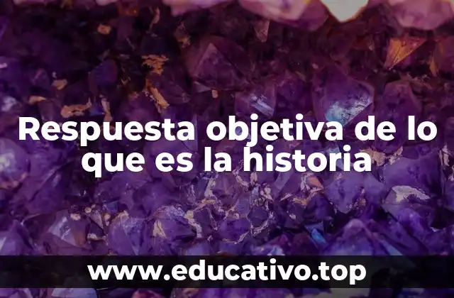 Respuesta objetiva de lo que es la historia