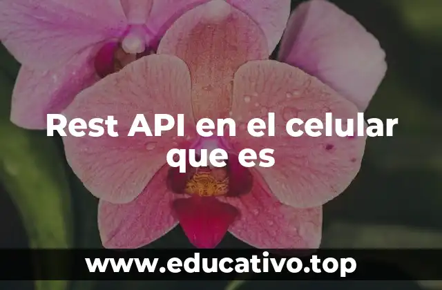 Rest API en el celular que es