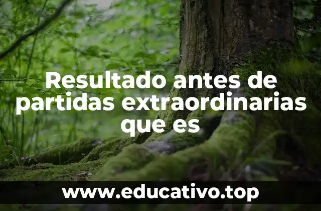 Resultado antes de partidas extraordinarias que es