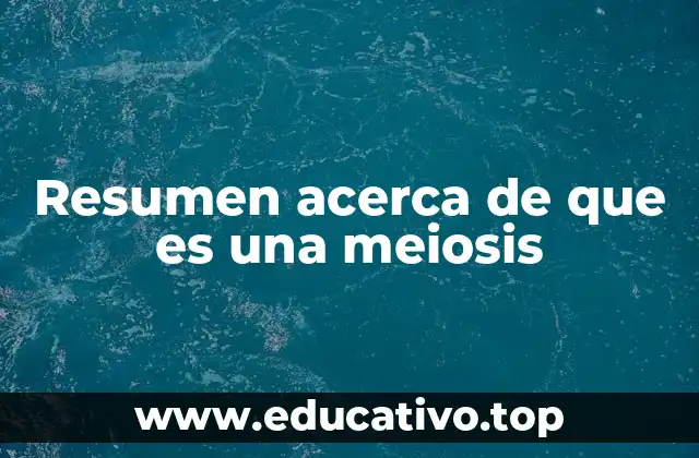 La meiosis y su papel en la reproducción sexual