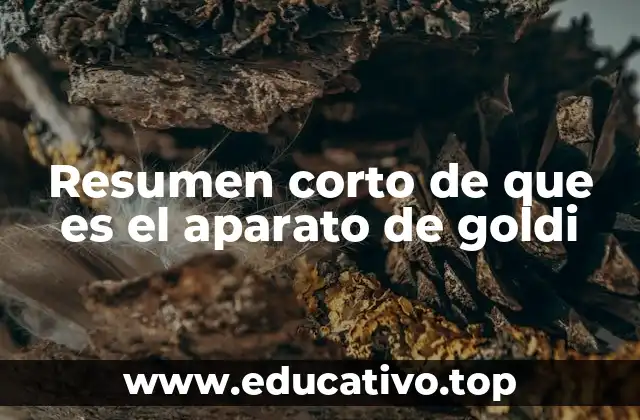 Resumen corto de que es el aparato de goldi