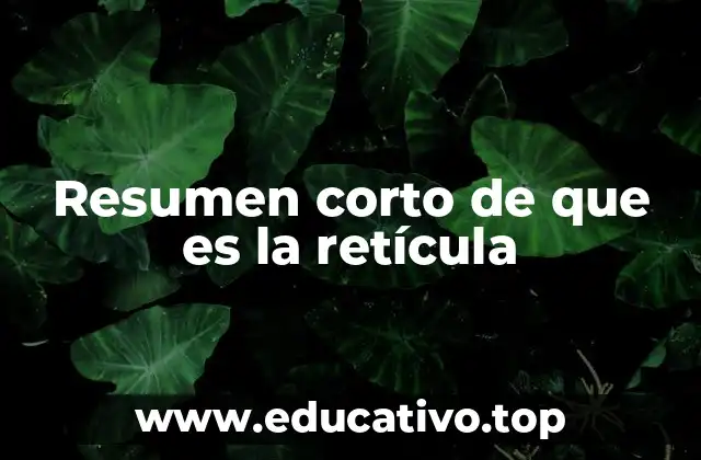 Resumen corto de que es la retícula