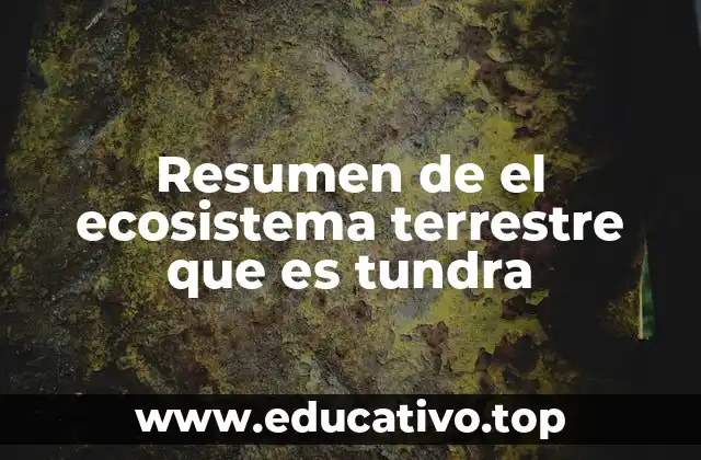 Resumen de el ecosistema terrestre que es tundra