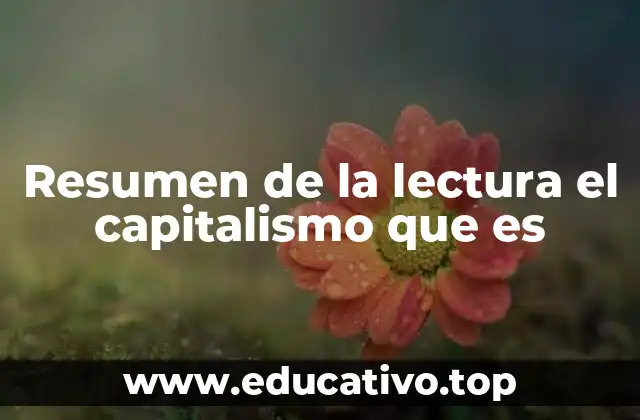 Resumen de la lectura el capitalismo que es