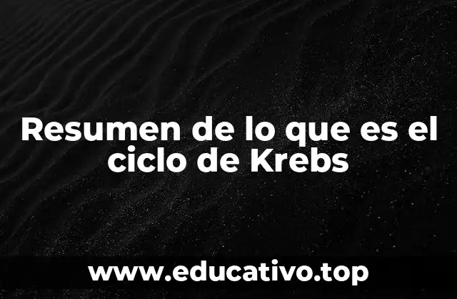 Resumen de lo que es el ciclo de Krebs