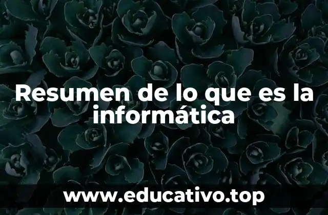 Resumen de lo que es la informática