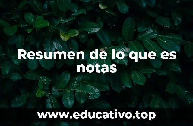 Resumen de lo que es notas