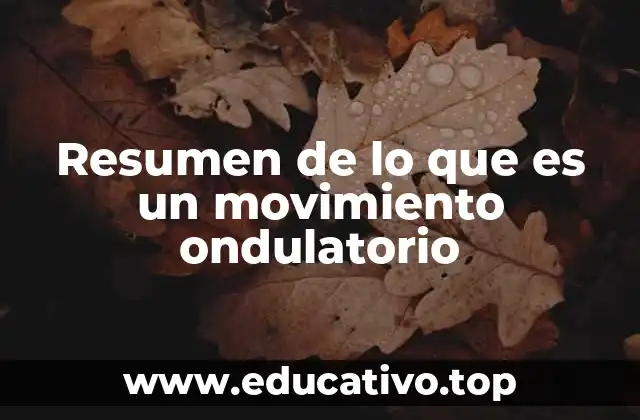 Resumen de lo que es un movimiento ondulatorio
