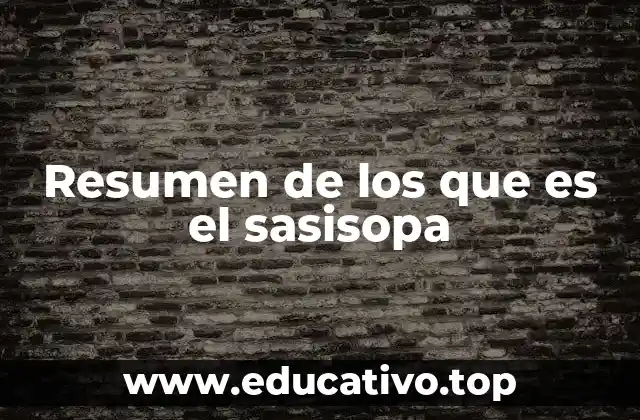 Resumen de los que es el sasisopa