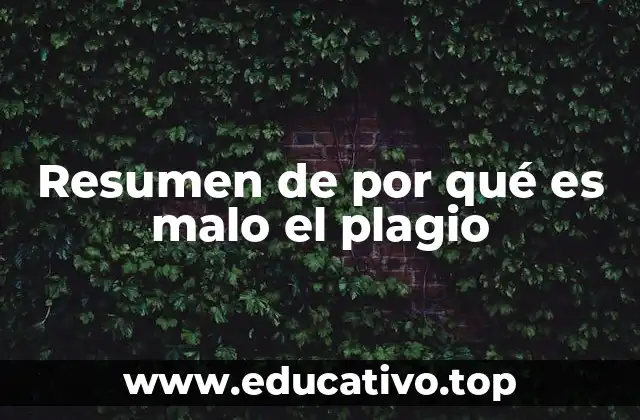 Resumen de por qué es malo el plagio