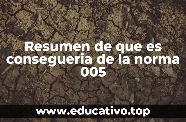 Resumen de que es consegueria de la norma 005