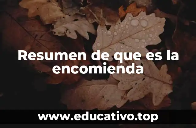 Resumen de que es la encomienda