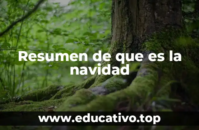 Resumen de que es la navidad