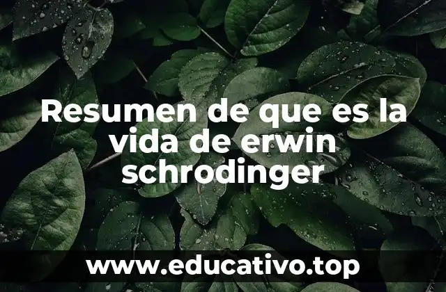 Resumen de que es la vida de erwin schrodinger