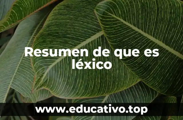 Resumen de que es léxico