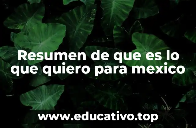 Resumen de que es lo que quiero para mexico