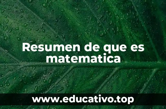 Resumen de que es matematica