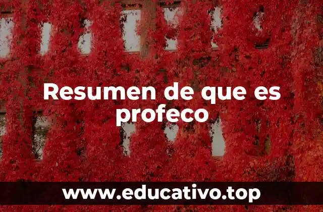 Resumen de que es profeco