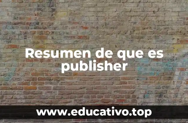 Resumen de que es publisher