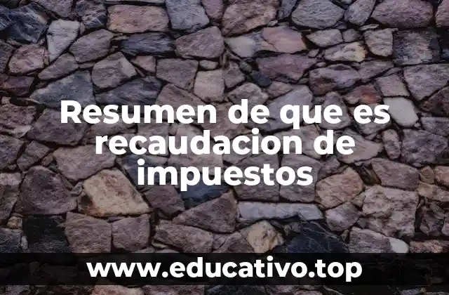 El papel de la recaudación en la economía nacional