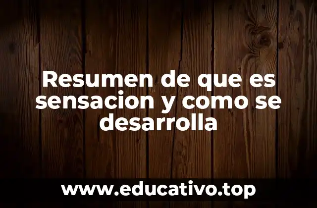 Resumen de que es sensacion y como se desarrolla